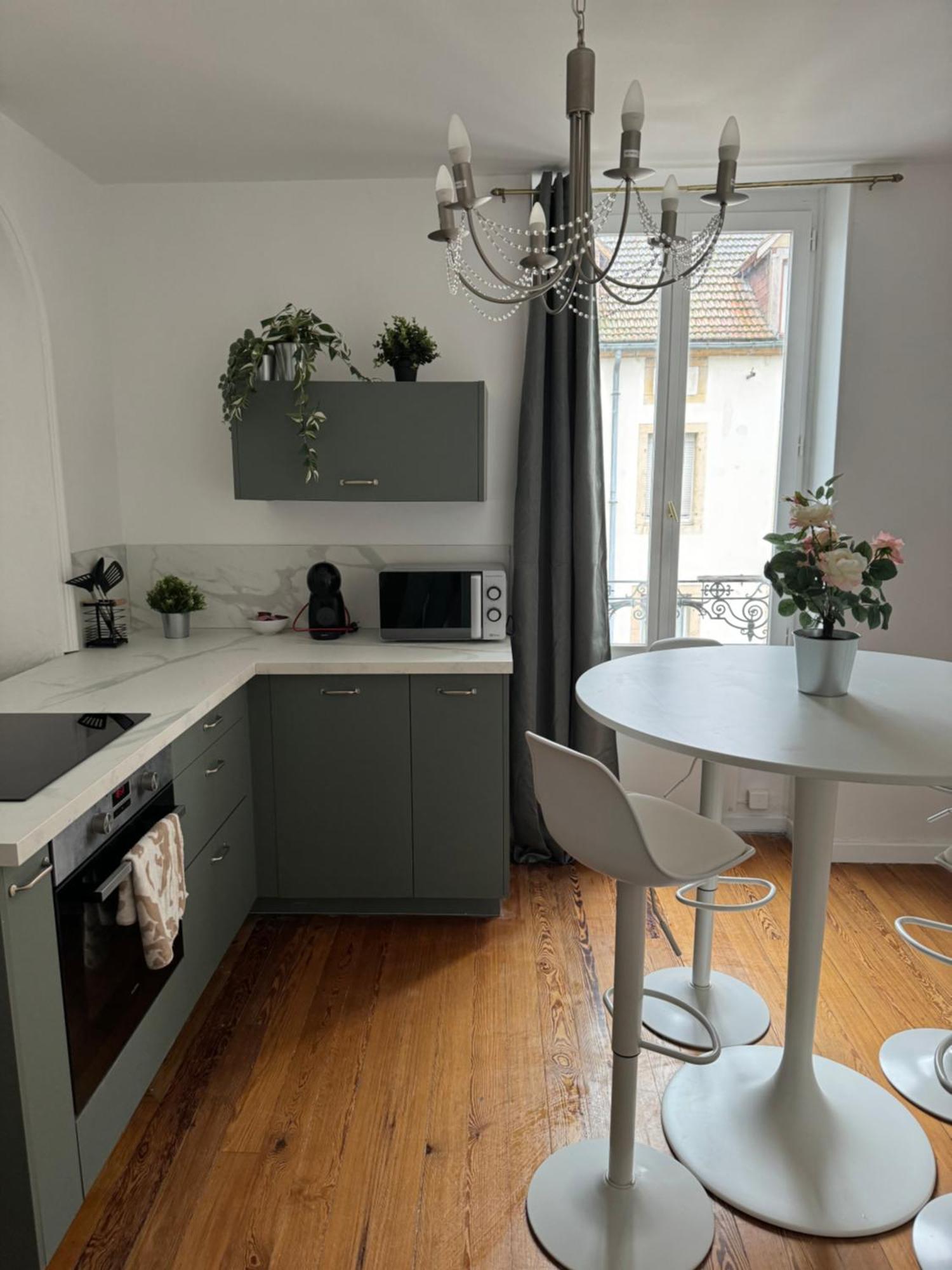 Appartement T2 Plein Centre Dijon Eksteriør billede